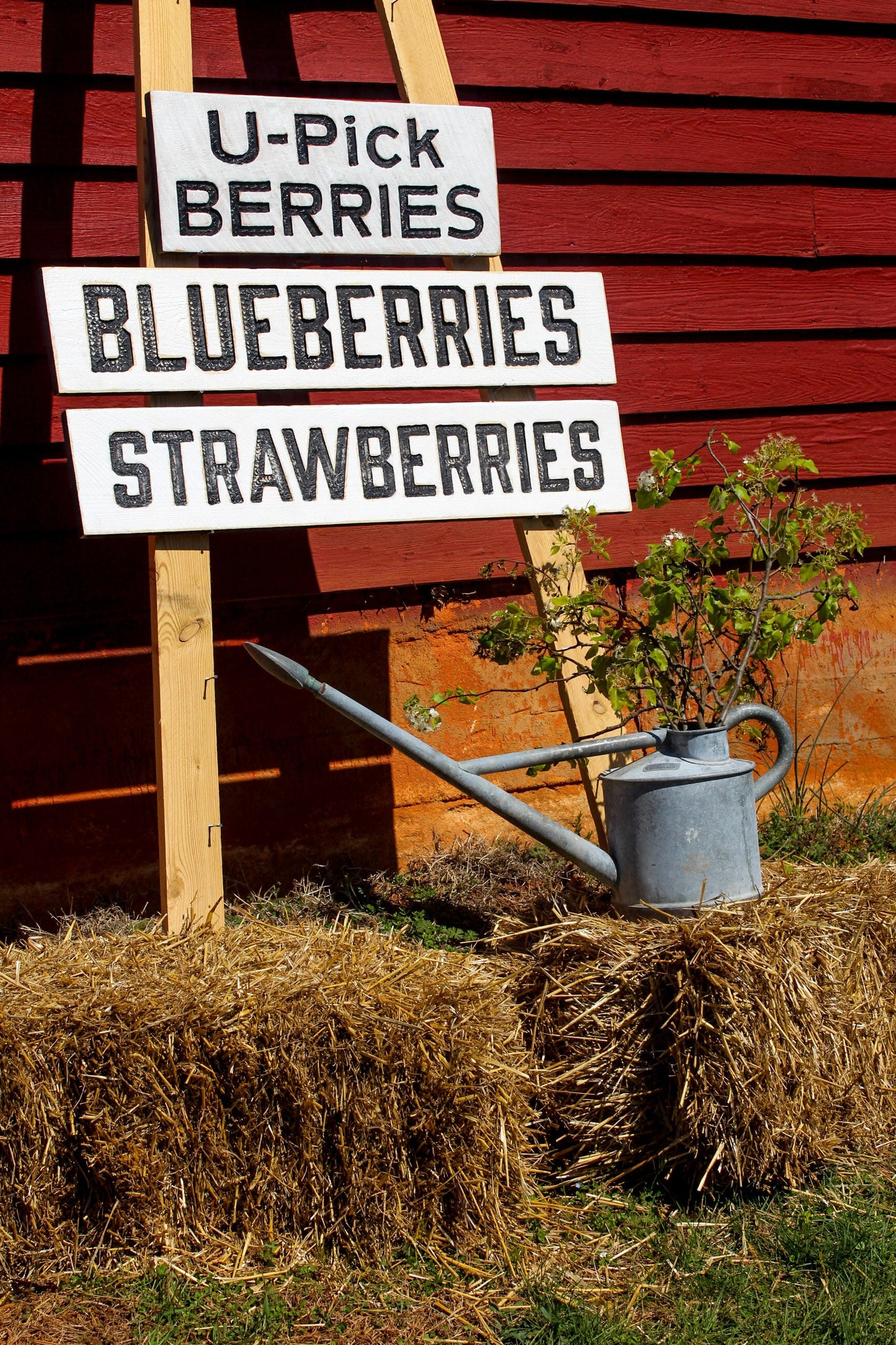 U-Pick Berries Sign